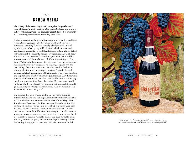 Oz Clarke's Story of Wine