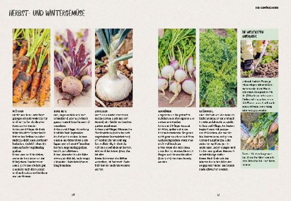 In den Garten, fertig, los!