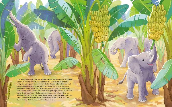 Der kleine Waldelefant - Zu Hause in Afrika