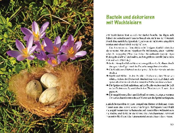 Wachteln im Garten