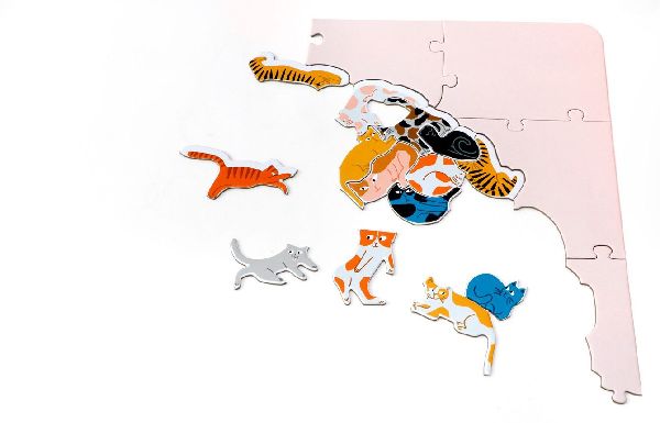 299 Katzen (und 1 Hund). Puzzle 300 Teile