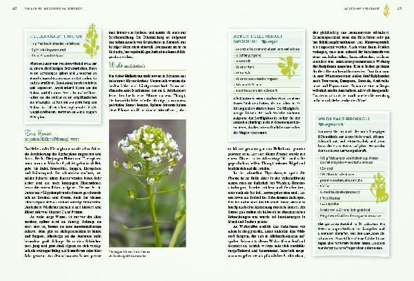 Geheimnisse der Unkräuter
