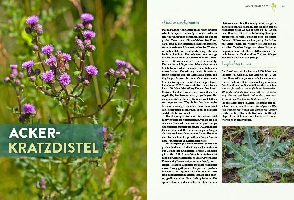 Geheimnisse der Unkräuter