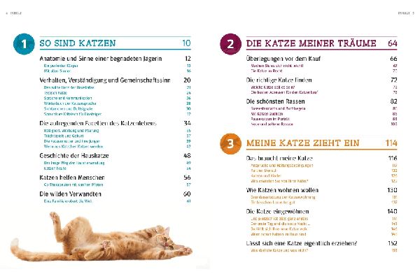 Katzen. Das große Praxishandbuch
