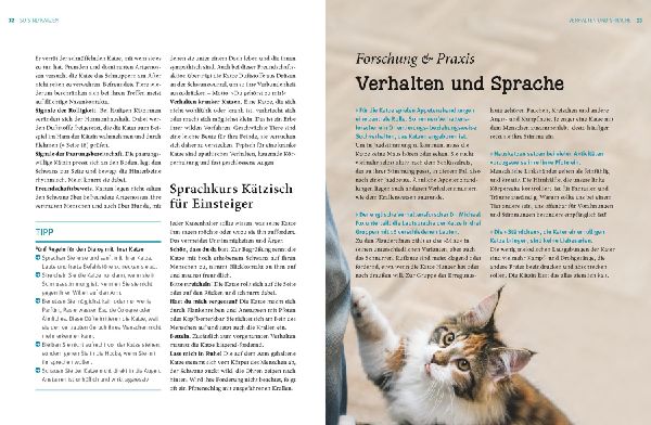 Katzen. Das große Praxishandbuch