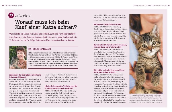 Katzen. Das große Praxishandbuch