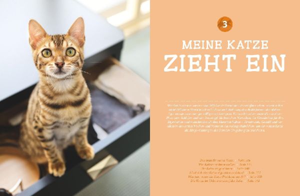 Katzen. Das große Praxishandbuch