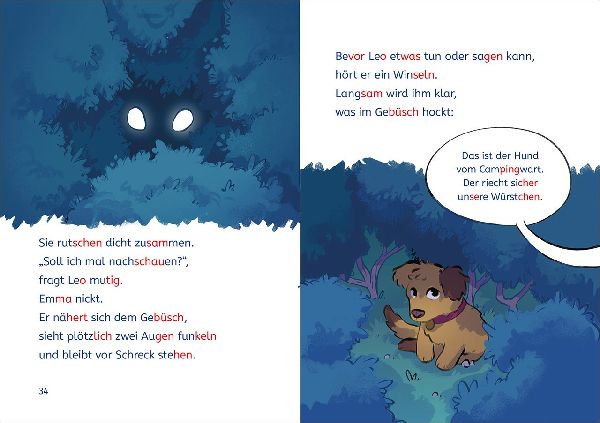 Leselöwen 2. Klasse - Abenteuer im Fußballcamp