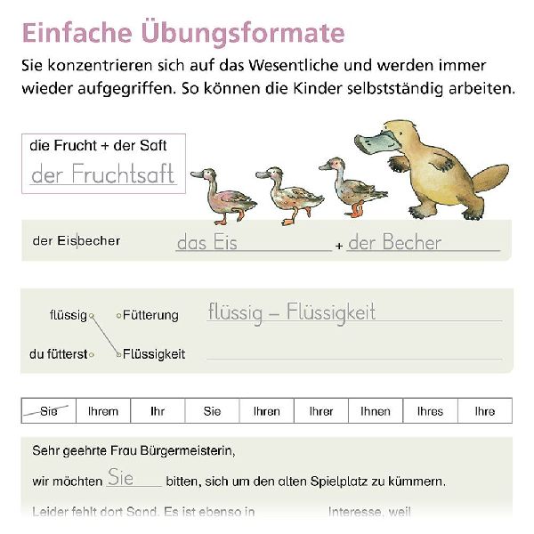 Rechtschreiben mit Rico Schnabel, Klasse 4