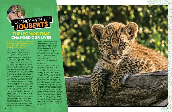 The Ultimate Book of African Animals