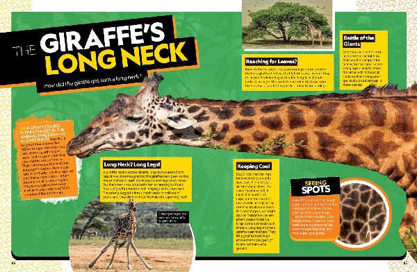 The Ultimate Book of African Animals