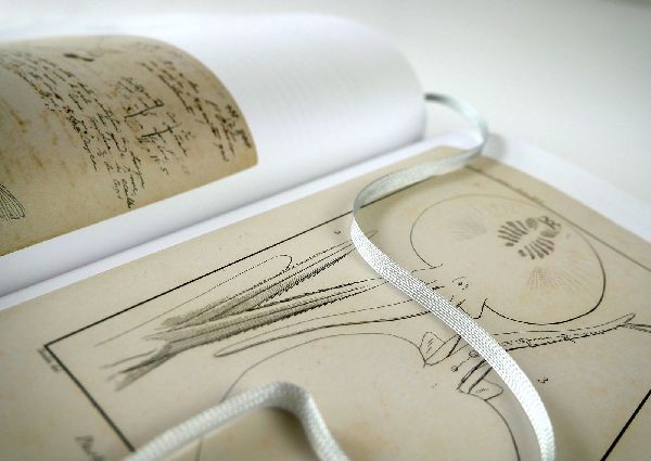 Alexander von Humboldt - Bilder-Welten
