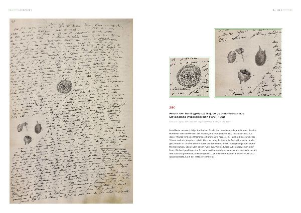Alexander von Humboldt - Bilder-Welten