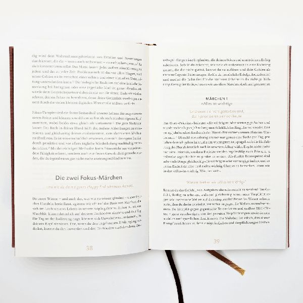 Das 6-Minuten-Erfolgsjournal (mittelblau)