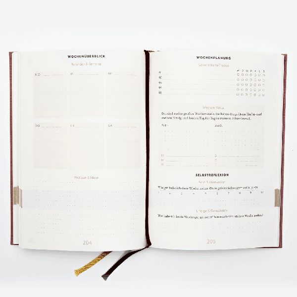 Das 6-Minuten-Erfolgsjournal (mittelblau)