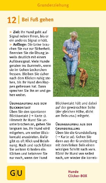 Hunde-Clicker-Box