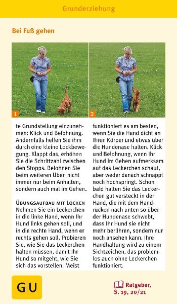 Hunde-Clicker-Box