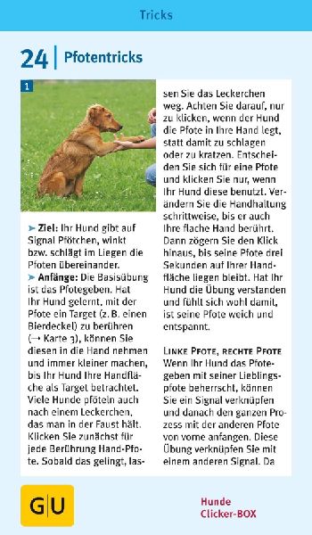 Hunde-Clicker-Box