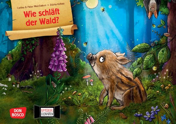 Wie schläft der Wald? Kamishibai Bildkartenset