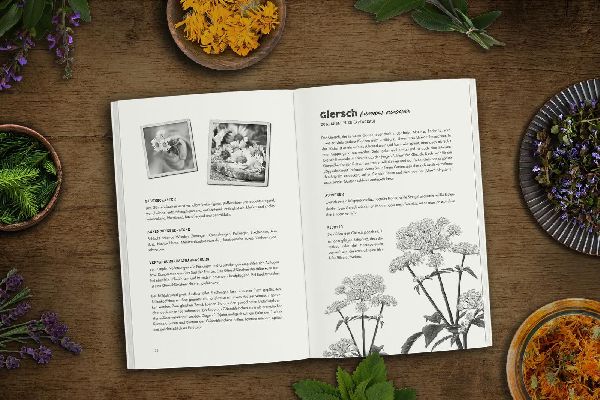 Das verlorene Handbuch der Kräutermedizin
