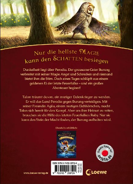 Der letzte Feuerfalke und der Stein der Macht (Band 1)