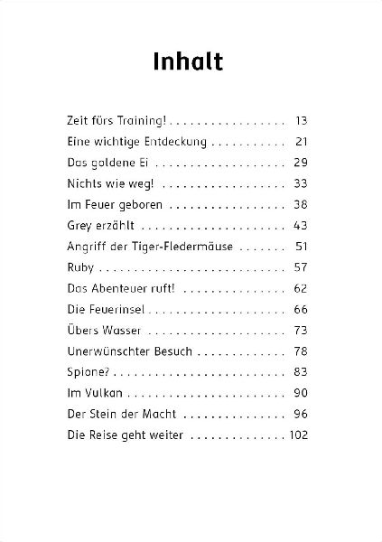 Der letzte Feuerfalke und der Stein der Macht (Band 1)