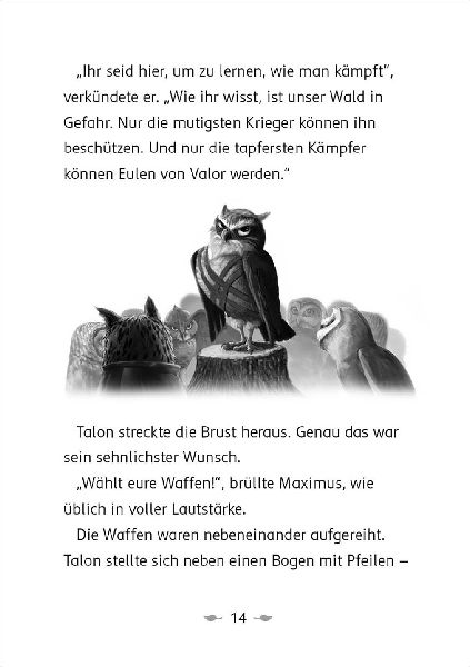Der letzte Feuerfalke und der Stein der Macht (Band 1)