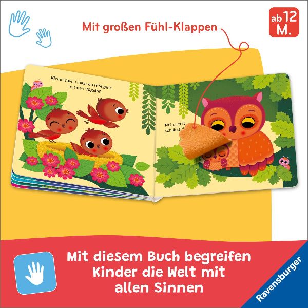 Wo bist du, kleine Eule?