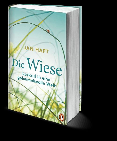 Die Wiese