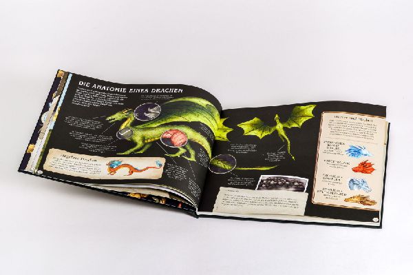 Das große Handbuch der Drachen