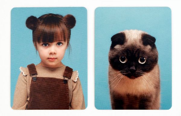 Siehst du aus wie deine Katze ?