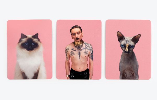 Siehst du aus wie deine Katze ?