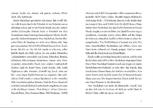 Crazy Family (Band 3) - Die Hackebarts greifen an!