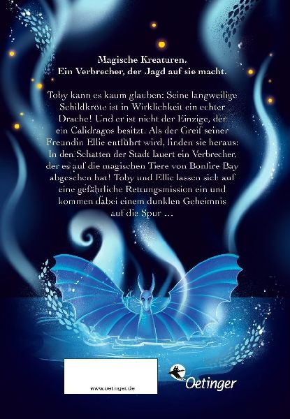 Calidragos 1. Der Ruf des Drachen