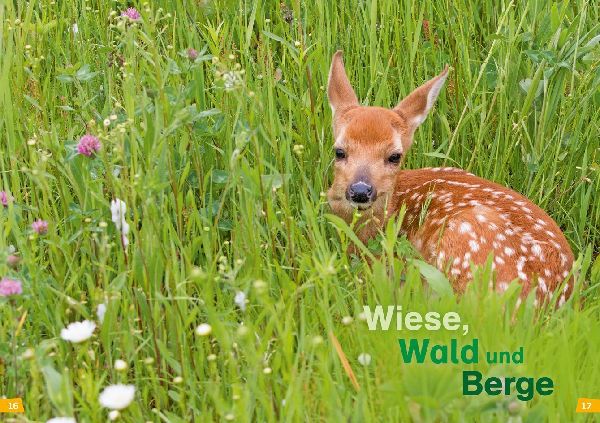 WAS IST WAS Erstes Lesen Band 4. Natur entdecken