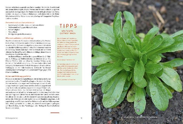 Handbuch Samengärtnerei