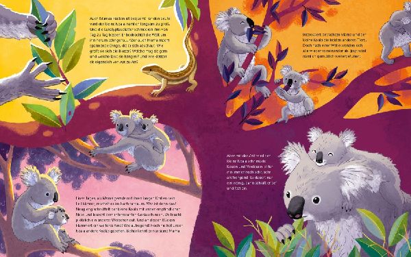 Der kleine Koala - Zu Hause im Eukalyptus