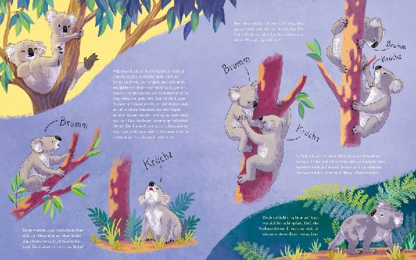 Der kleine Koala - Zu Hause im Eukalyptus