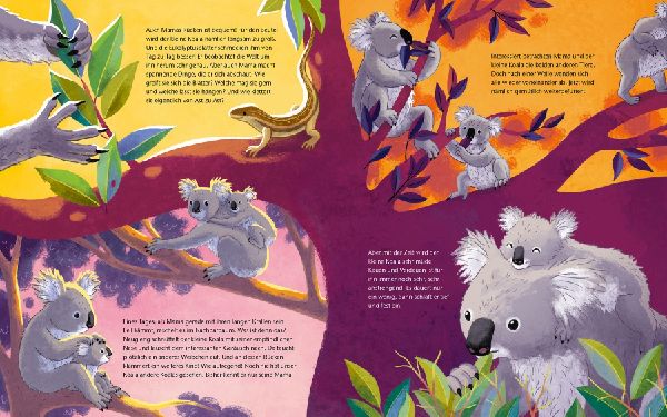Der kleine Koala - Zu Hause im Eukalyptus