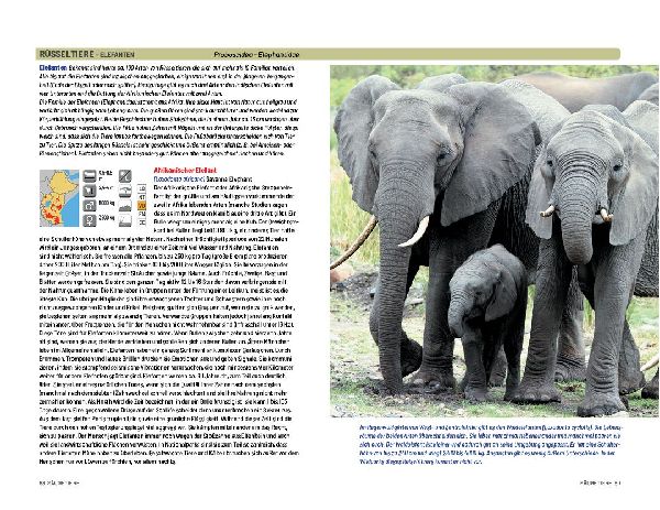 Safari-Reiseführer Ostafrika