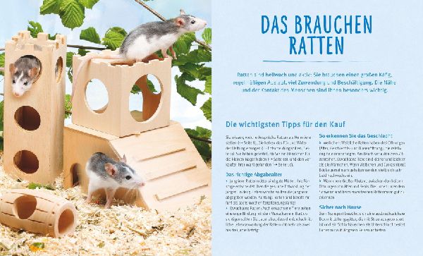 Ratten