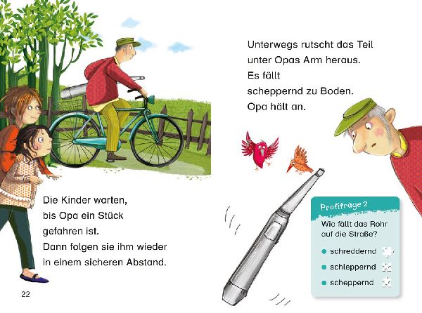 Duden Leseprofi - Das Geheimnis im Schuppen, 1. Klasse