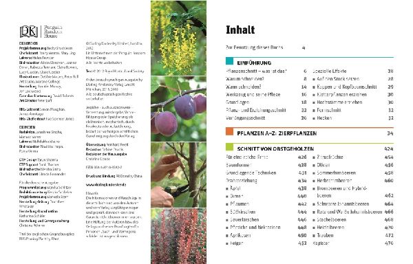 Gartenwissen Pflanzenschnitt
