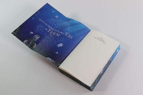 A Theory of Dreaming (A Study in Drowning, Band 2)
