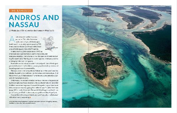 Der ultimative World Diver's Guide