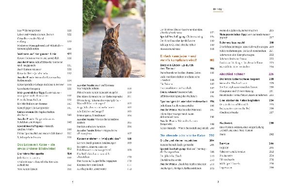 Wie wir Katzen glücklich machen