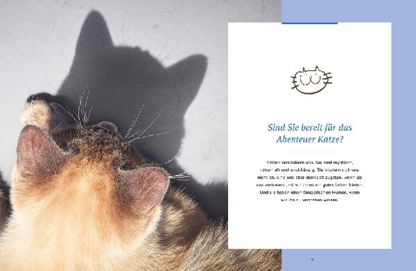 Wie wir Katzen glücklich machen