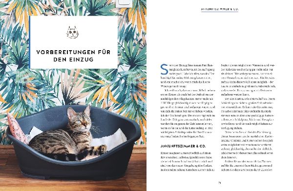 Wie wir Katzen glücklich machen