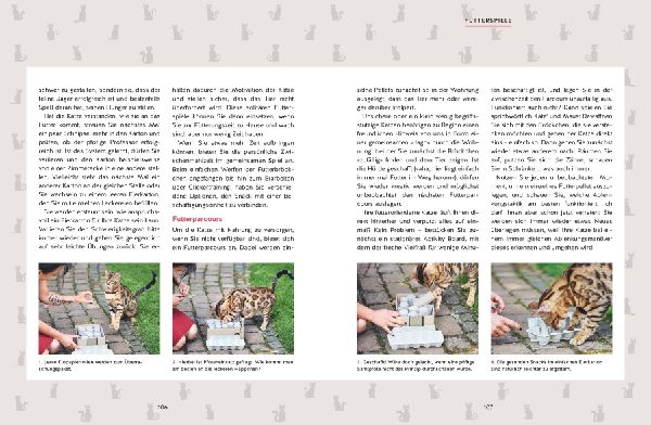 Wie wir Katzen glücklich machen