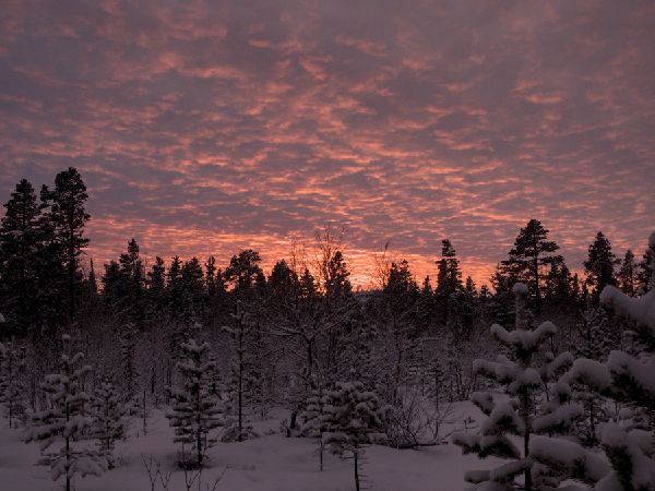 Weihnachtszeit in Lappland